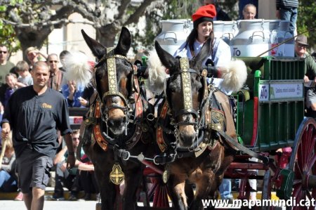 El Carro de llet ATO als Tres Tombs de Catalunya El Carro de llet ATO als Tres Tombs de Catalunya
