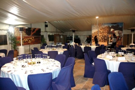 Exposició del Cigronet de l'Alta Anoia Exposició del Cigronet de l'Alta Anoia