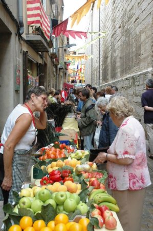 Fira de l'Eix a Calaf Fira de l'Eix a Calaf