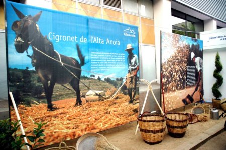 Exposició del Cigronet de l'Alta Anoia Exposició del Cigronet de l'Alta Anoia